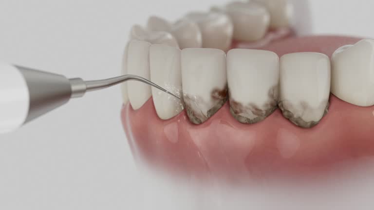 Reliable Dental contractor in Deer Park, TX by Dentist Open Now